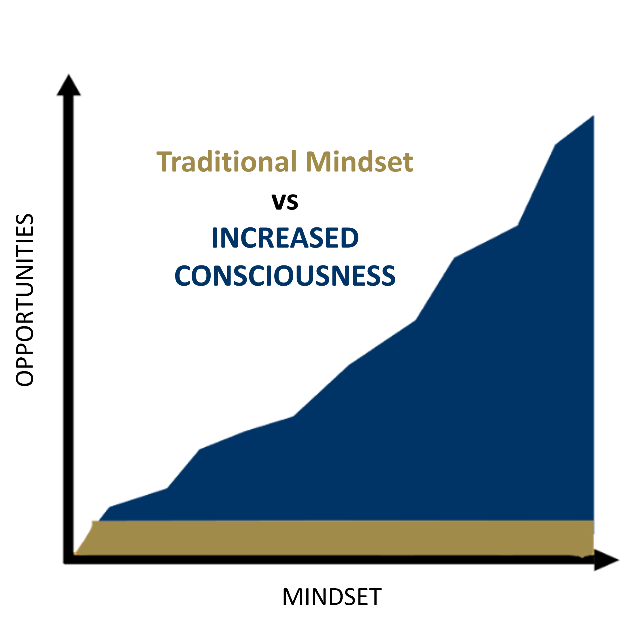 Consulting_Increased Consciousness