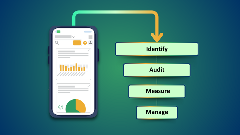 Consulting Services - Identify, Audit, Measure, Manage